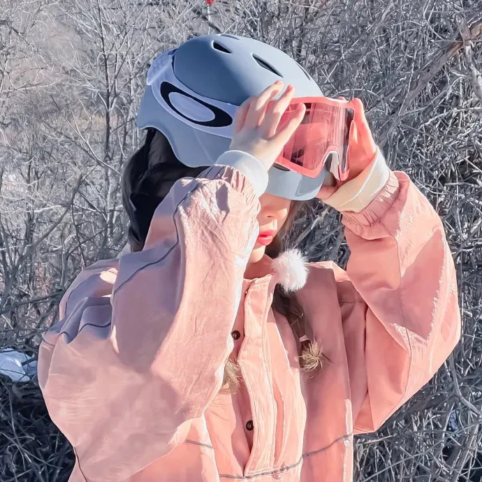 对抗性侵犯